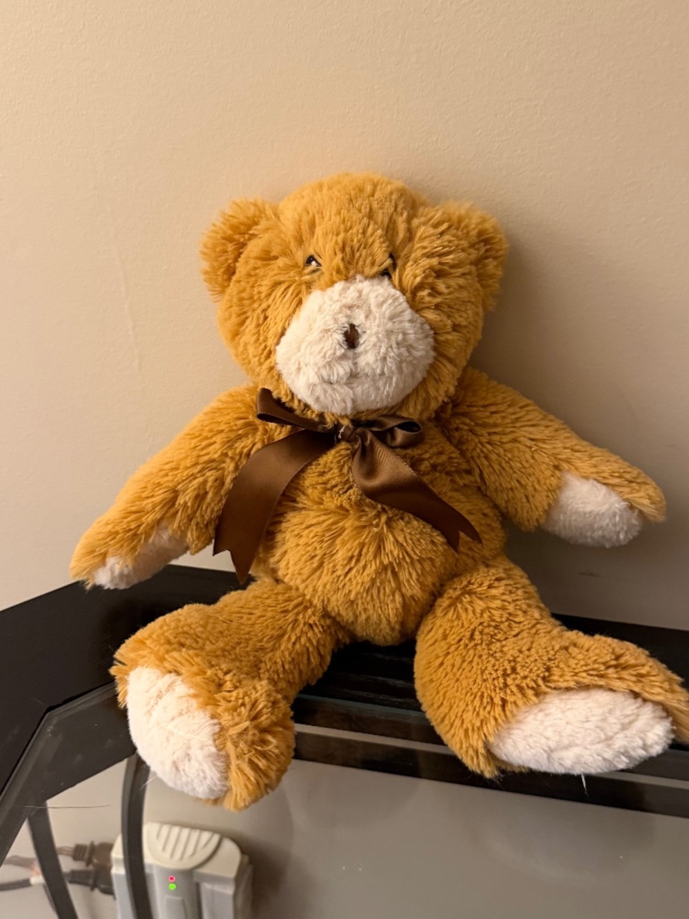 First impressions Teddy